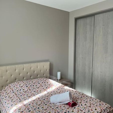 Superbe Appartement Plein Centre Millau Exteriér fotografie
