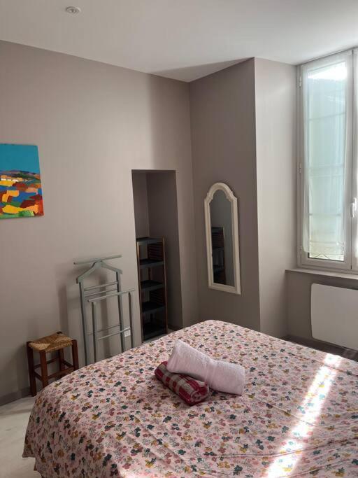 Superbe Appartement Plein Centre Millau Exteriér fotografie