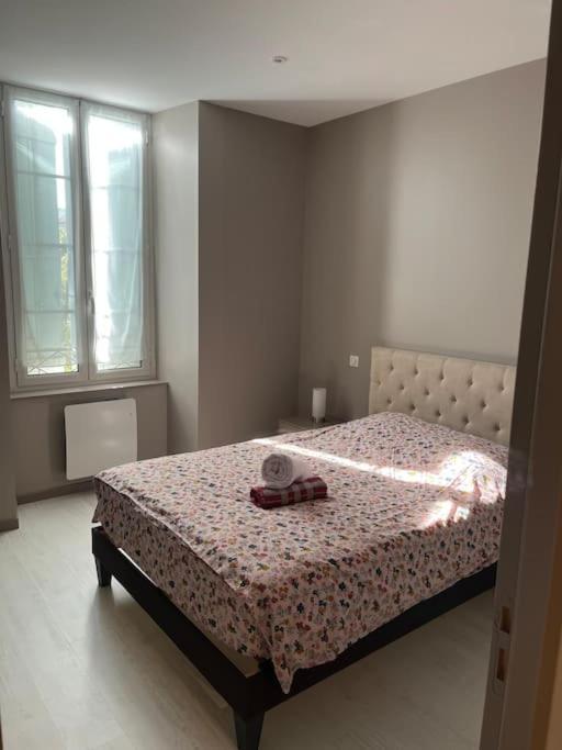Superbe Appartement Plein Centre Millau Exteriér fotografie