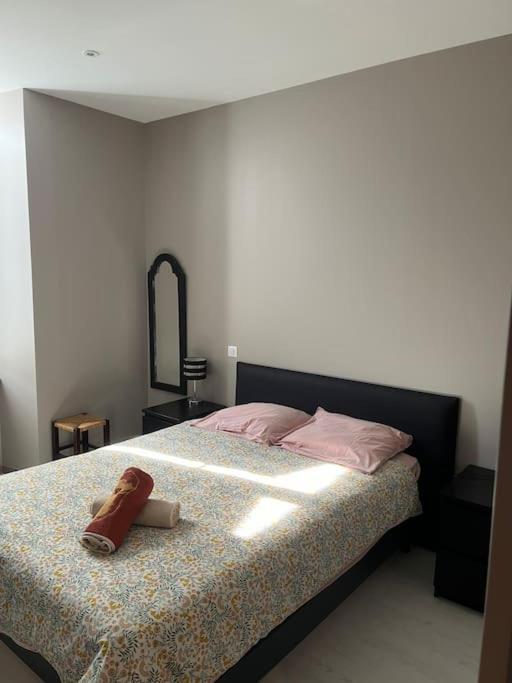 Superbe Appartement Plein Centre Millau Exteriér fotografie