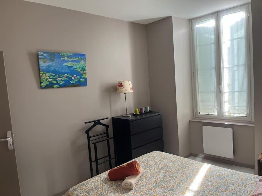 Superbe Appartement Plein Centre Millau Exteriér fotografie